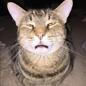 Meet your Posher, Sharry